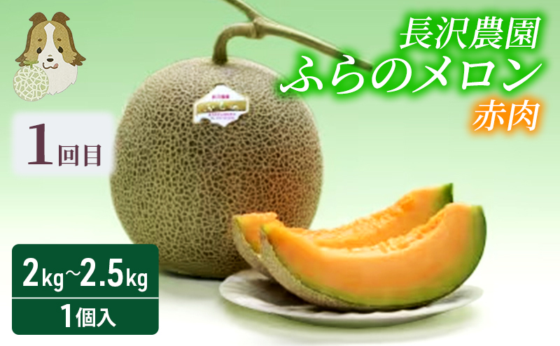 【定期便3回】富良野の夏を独り占め！富良野メロン×至福のアイス 