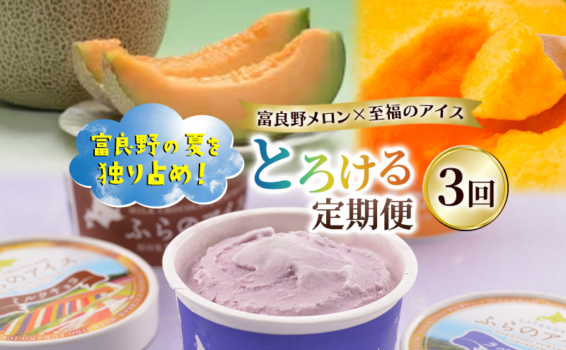 【定期便3回】富良野の夏を独り占め！富良野メロン×至福のアイス "とろける定期便" メロン 赤肉 大玉 果物 アイス アイスクリーム デザート おやつ ご褒美 冷凍 定期便 産地直送