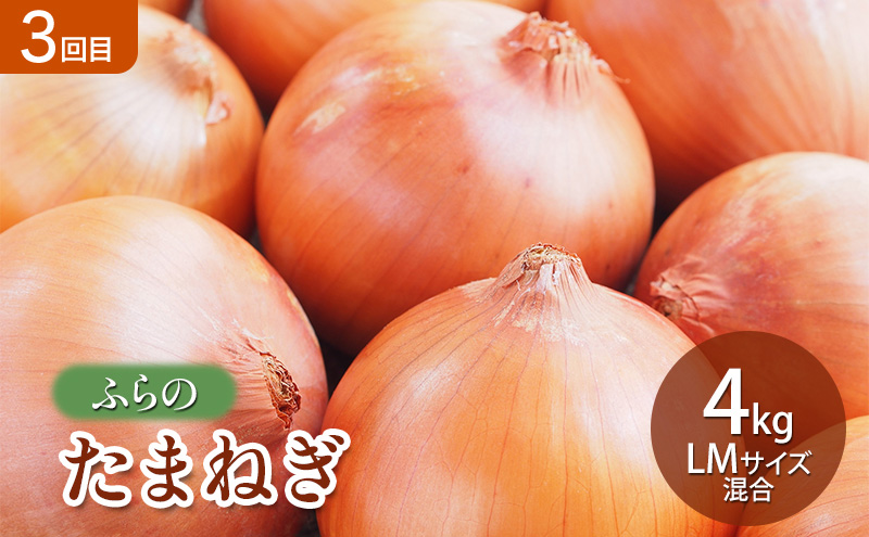 【2026年夏～秋発送】 定期便 3ヵ月 旬を味わう 基本野菜セット 全3回（ 野菜 新鮮 直送 とうもろこし じゃがいも 男爵 玉ねぎ 道産 ふらの 送料無料 数量限定 先着順 富良野市 ）