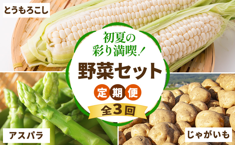 【2026年春～秋発送】定期便 3ヵ月 初夏の彩り満喫 野菜セット 全3回 （ 野菜 新鮮 直送 アスパラ とうもろこし じゃがいも 男爵 道産 ふらの 送料無料 数量限定 北海道 富良野市 ）