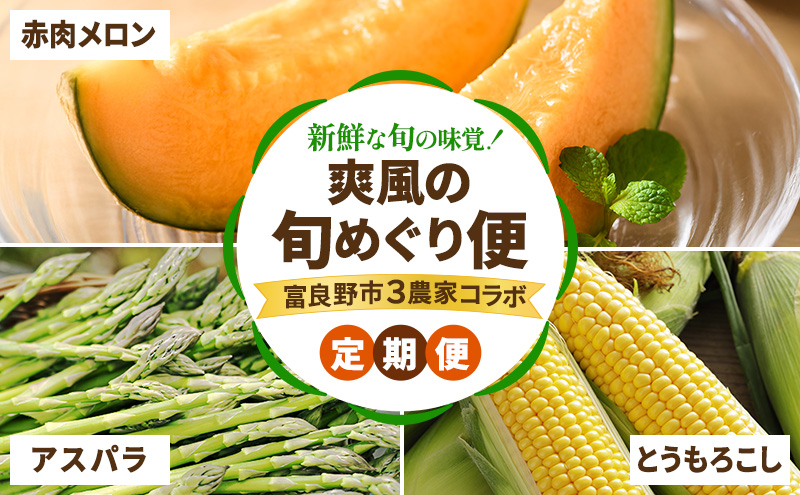 【2026年春～夏発送】[年3回定期便] 新鮮な旬の味覚 爽風の旬めぐり便 3農家コラボ 定期便 (アスパラガス 赤肉メロン とうもろこし 北海道 富良野市 野菜 果物 フルーツ 中山農園 NORTH FUN 富良野青果センター )