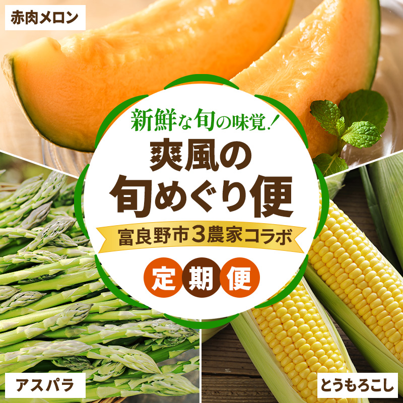 【2026年春～夏発送】[年3回定期便] 新鮮な旬の味覚 爽風の旬めぐり便 3農家コラボ 定期便 (アスパラガス 赤肉メロン とうもろこし 北海道 富良野市 野菜 果物 フルーツ 中山農園 NORTH FUN 富良野青果センター )