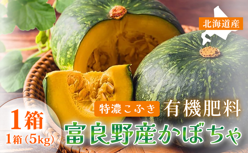 【秋の味覚 北海道産 カボチャ】特濃こふき 無選別 5kg×1箱｜北海道富良野市 9～10月発送 野菜 しっとり ホクホク 濃厚 甘い 濃橙果肉 黒皮カボチャ かぼちゃ こふきかぼちゃ 南瓜 料理用 煮物 贈答用 秋季限定