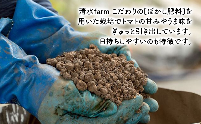 【2026年発送】●2回定期便● 富良野産 採れたて直送! 「ミニトマト キャロル10・殊玉のうまみ 」各2kg (清水farm) アスパラ アスパラガス トマト ミニトマト とまと 野菜 新鮮 季節限定 北海道 富良野 ふらの