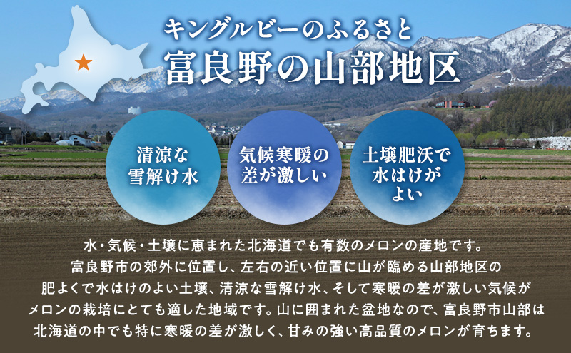 【2026年夏発送】富良野産 赤肉メロン 大玉 2玉（1玉：2kg以上）[近藤農園] メロン フルーツ 果物 新鮮 甘い 贈り物 ギフト 道産 ジューシー おやつ ふらの ブランド 夏 北海道 富良野市