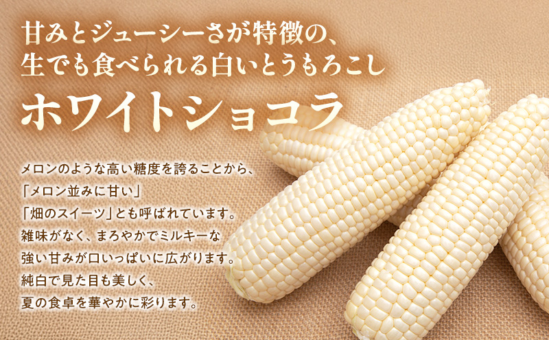 【2026年夏発送】富良野産 とうもろこし ホワイトショコラ 約12本 [近藤農園] とうもろこし コーン とうきび 野菜 新鮮 甘い 贈り物 ギフト 道産 ジューシー ふらの ブランド 夏 北海道 富良野市