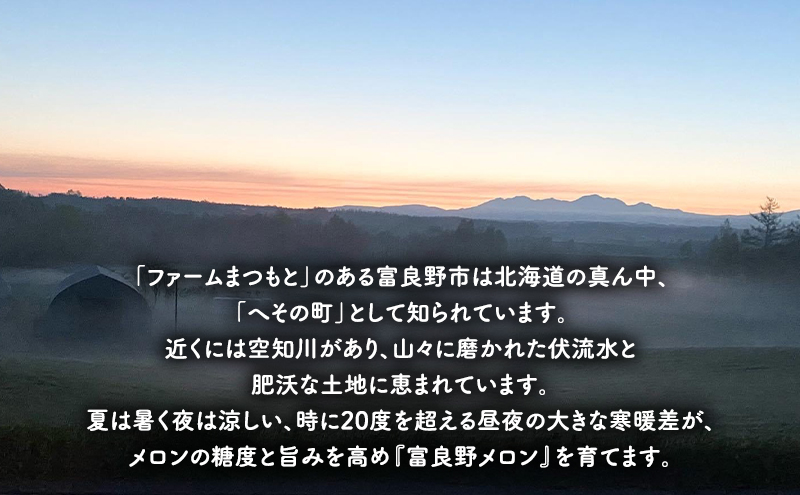 【2026年夏発送】厳選ふらのメロン 赤肉 3玉(品種おまかせ) 糖度15度以上 [ファームまつもと] メロン 赤肉メロン フルーツ 果物 新鮮 甘い 贈り物 ギフト  ジューシー ブランドメロン 夏 北海道 富良野
