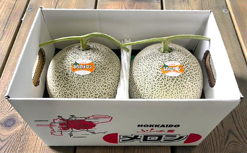 【2026年発送】 富良野メロン 赤肉 2玉入(計3.2kg以上) メロン ふらのメロン フルーツ 果物 くだもの 美味しい 甘い ギフト プレゼント 北海道 富良野市