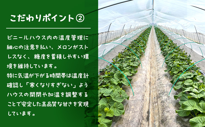 【2026年発送】 富良野メロン 赤肉 2玉入(計3.2kg以上) メロン ふらのメロン フルーツ 果物 くだもの 美味しい 甘い ギフト プレゼント 北海道 富良野市