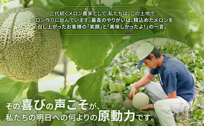 富良野産 キングメロン 大玉 1玉 特秀品(2.3kg以上) 赤肉 メロン 富良野メロン 果物 フルーツ 甘い ジューシー 新鮮 ブランドメロン 贈り物 ギフト おやつ 夏 北海道 富良野市