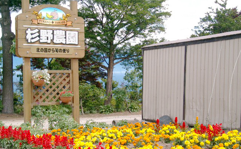 富良野産 キングメロン 4～5玉 秀品 (計8kg) 赤肉 メロン 富良野メロン 果物 フルーツ 甘い ジューシー 新鮮 ブランドメロン 贈り物 ギフト おやつ 夏 北海道 富良野市