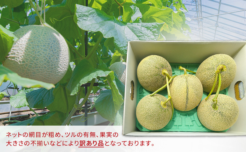 富良野産 訳あり キングメロン 4～6玉 (計8kg) 赤肉 メロン ご家庭用 富良野メロン 果物 フルーツ 甘い ジューシー 新鮮 贈り物 ギフト おやつ 夏 北海道 富良野市