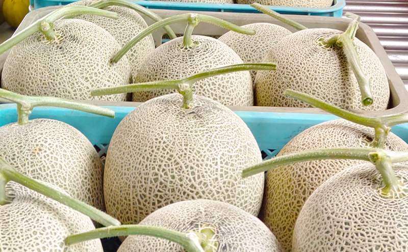 富良野産 訳あり キングメロン 4～6玉 (計8kg) 赤肉 メロン ご家庭用 富良野メロン 果物 フルーツ 甘い ジューシー 新鮮 贈り物 ギフト おやつ 夏 北海道 富良野市