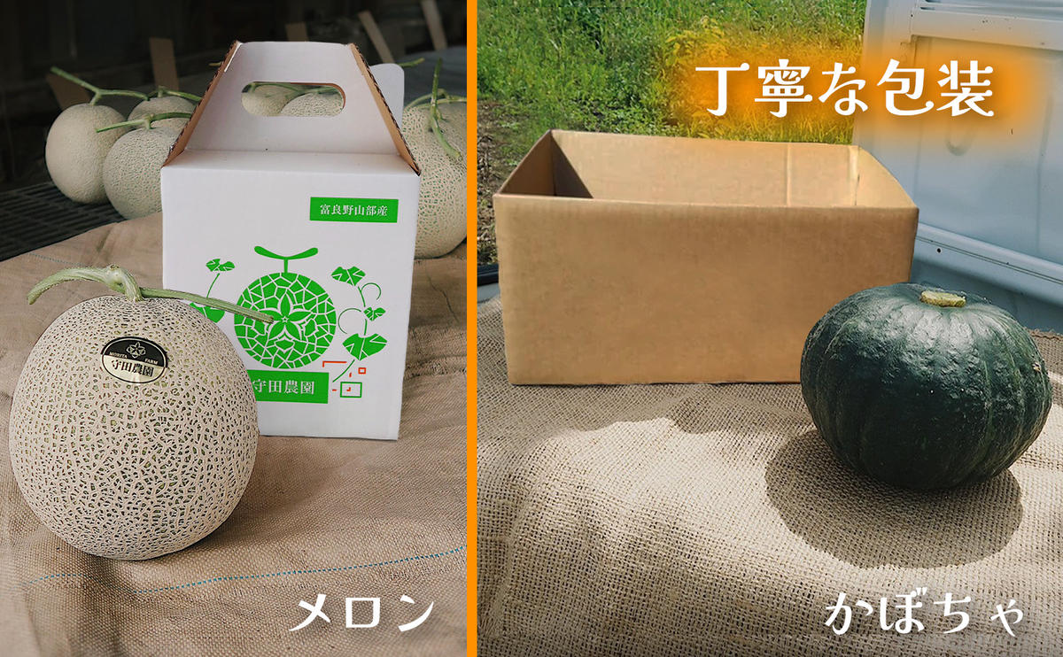 【定期便全2回 夏秋リレー】[2026年7～10月発送] 北海道富良野産 特秀品メロン 2kg1玉×3箱 ＆ 特濃こふき かぼちゃ 5kg×3箱｜北海道 富良野市 高糖度 メロン 黒皮かぼちゃ 濃厚 野菜 果物 フルーツ 贈答用 ギフト