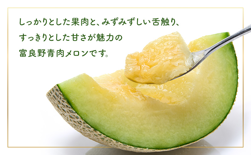 【2026年夏発送】メロン 北海道 富良野メロン 青肉1玉 約1.6kgサイズ以上 北海道 ふらの めろん 果物 フルーツ 甘い ジューシー
