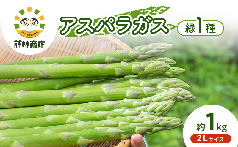 【2026年春発送】数量限定 グリーンアスパラガス 2Lサイズ 約1kg 野菜 アスパラ アスパラガス 新鮮 北海道 富良野