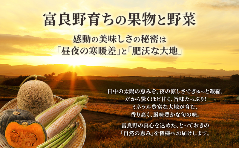 2026年夏発送【先行受付】 ふらのメロン 赤肉 秀大2玉［1玉2kg以上］計4kg以上 富良野メロン 赤肉 めろん 北海道 甘い 大きい 果物 フルーツ