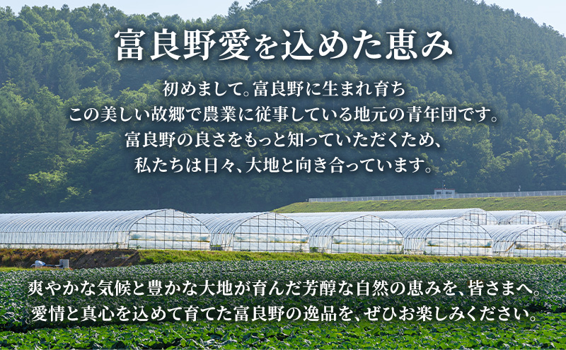 2026年夏発送【先行受付】 ふらのメロン 赤肉 秀大4玉［1玉2kg以上］計8kg以上 富良野メロン 赤肉 めろん 北海道 甘い 大きい 果物 フルーツ