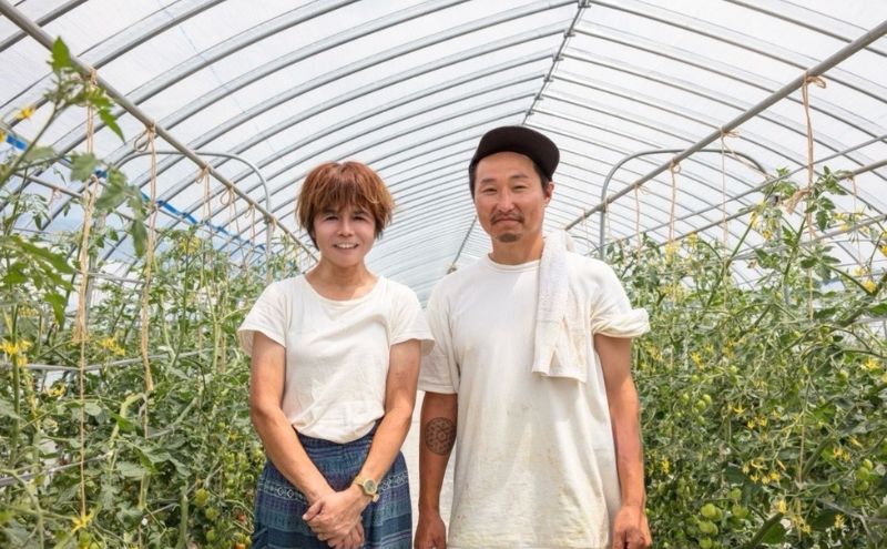 【2026年夏発送】富良野産 ミニトマト (赤) 約3kg (阿部農園) トマト ミニトマト 野菜 新鮮 農家直送 北海道 富良野市