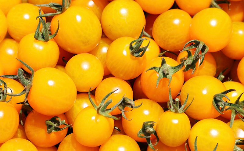 完熟 黄ミニトマト 100% ストレートジュース  720ml×1本 (阿部農園) トマトジュース トマト ミニトマト ジュース 濃厚 野菜 飲料 ソフトドリンク 瓶 北海道 富良野市