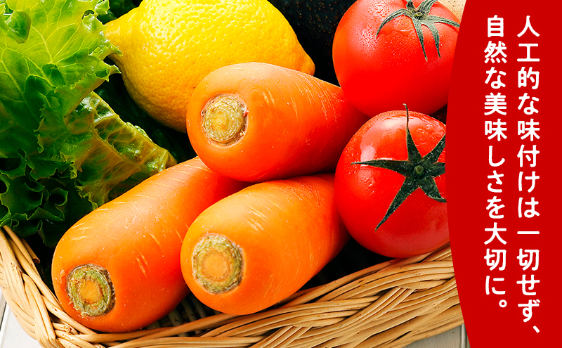 ãµãã® ã«ããã100ã»ãµãã®ããã100 é£å¡©ç¡æ·»å 160gÃå15æ¬ã»ãã (ãžã¥ãŒã¹ éèãžã¥ãŒã¹ 飲ã¿ç© 猶 åæµ·é éæç¡æ éç£ å¯è¯éåž ãµãã®)