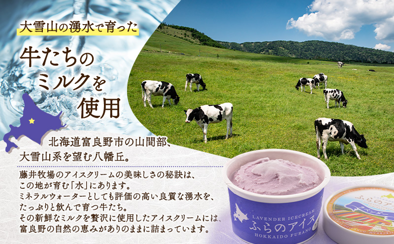 北海道富良野市 ふらの アイスクリーム 10個 5種×2個 (ディームファクトリー) アイス デザート 北海道 富良野市 道産 直送 ふらの 贈り物 ギフト