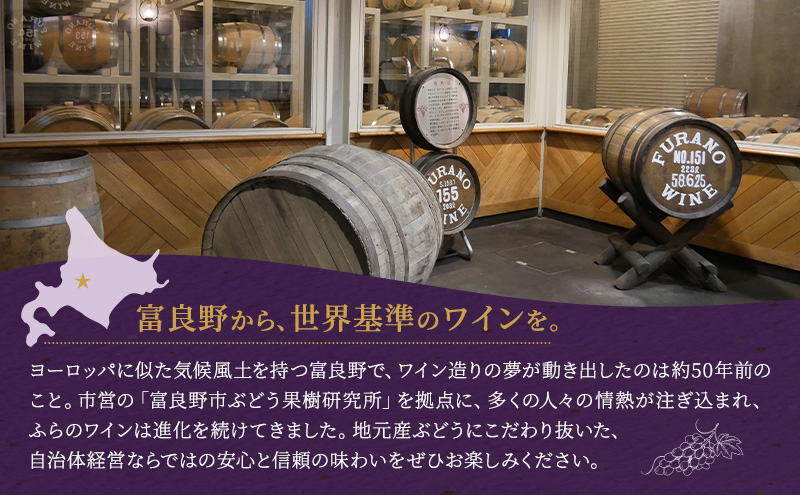 ふらのワイン（赤・白）720ml×2本セット (お酒 酒 ワイン ぶどう 飲み物 アルコール 北海道 送料無料 道産 富良野市 ふらの)