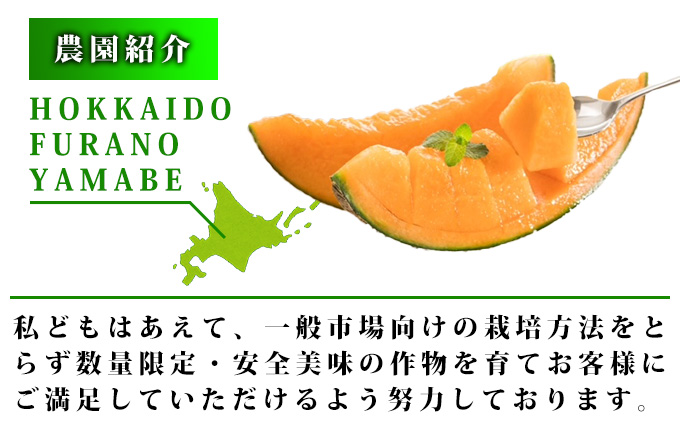 ふらの山部 鳳凰ブランド 夏のフルーツ定期便[メロン・スイカ]各1玉 北海道 富良野産 すいか 西瓜 メロン 夏 フルーツ 果物 くだもの 青果