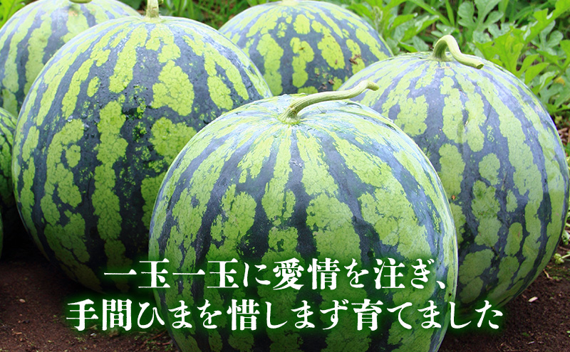 【2026年夏発送】ふらの山部の秀品スイカ『鳳凰スイカ』約3kg 1玉(坂口農産) 北海道 富良野産 すいか 西瓜 夏 フルーツ 果物 くだもの 青果
