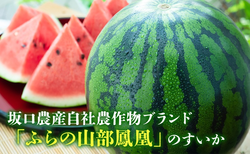 【2026年夏発送】ふらの山部の秀品スイカ『鳳凰スイカ』約4kg 1玉(坂口農産) 北海道 富良野産 すいか 西瓜 夏 フルーツ 果物 くだもの 青果