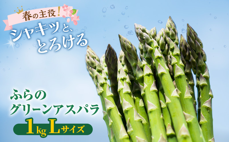 【2026年春発送】富良野産 グリーンアスパラ Lサイズ 約1kg アスパラ 野菜 アスパラガス