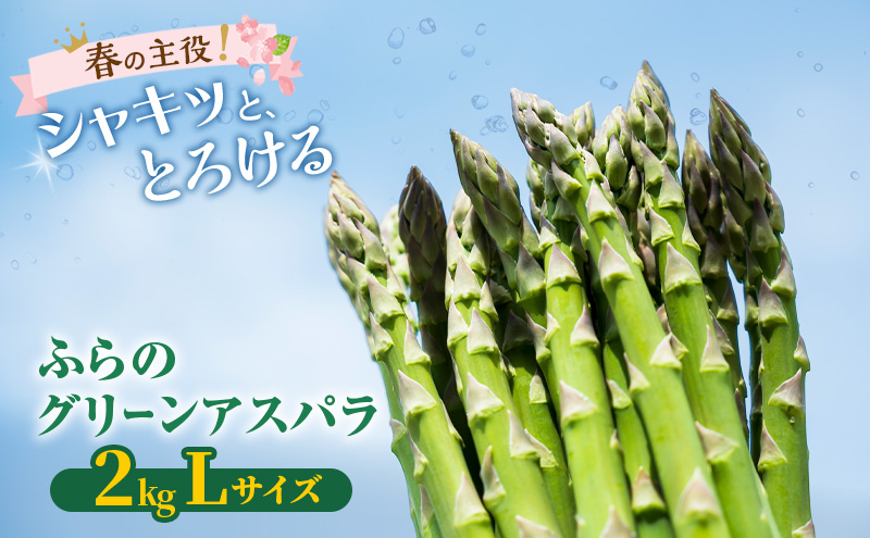 【2026年春発送】富良野産 グリーンアスパラ Lサイズ 約2kg アスパラ 野菜 アスパラガス
