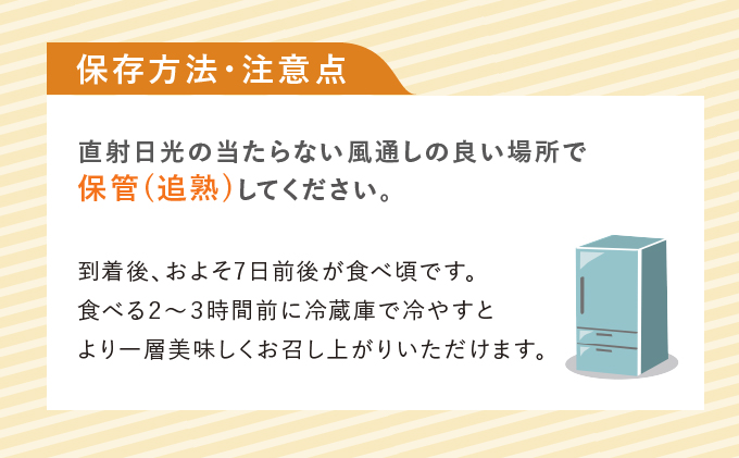 テレビで紹介されました！【2026年秋発送】北海道 富良野産 赤肉 秋メロン 2玉 計3.2kg以上 大玉サイズ メロン
