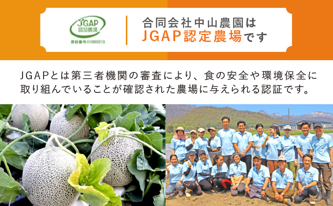 テレビで紹介されました！【2026年秋発送】北海道 富良野産 赤肉 秋メロン 2玉 計3.2kg以上 大玉サイズ メロン