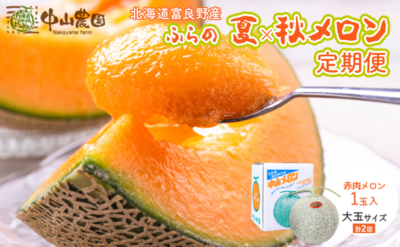 【2026年7～9月 全2回】計2回 ふらの 夏× 秋メロン 定期便 ≪計2玉≫ 北海道 富良野市 (中山農園) メロン フルーツ 果物 