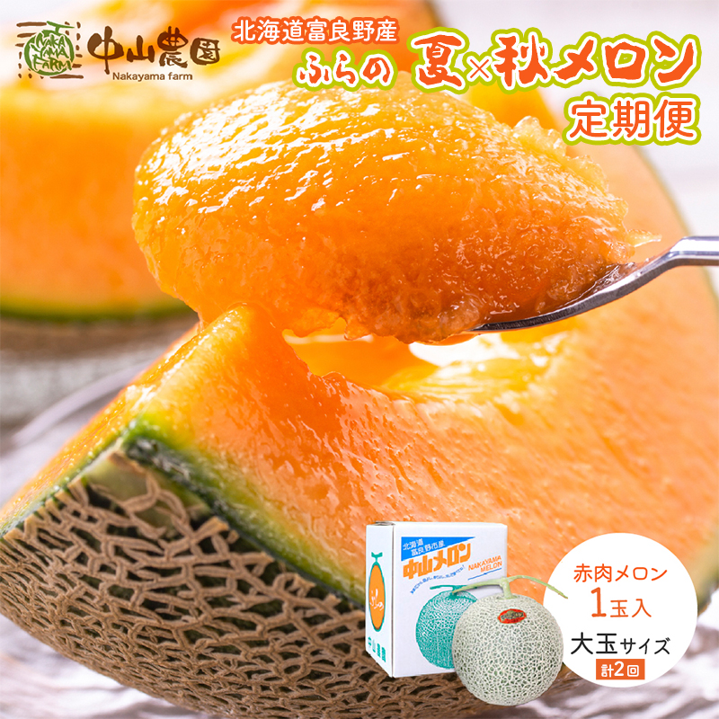 【2026年7～9月 全2回】計2回 ふらの 夏× 秋メロン 定期便 ≪計2玉≫ 北海道 富良野市 (中山農園) メロン フルーツ 果物