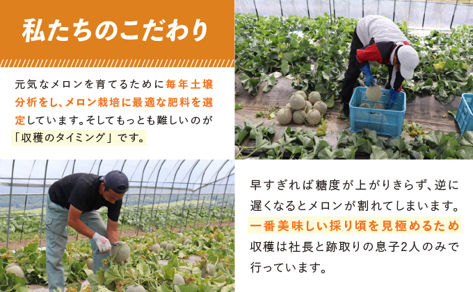 【2026年7～9月 全2回】計2回 ふらの 夏× 秋メロン 定期便 ≪計2玉≫ 北海道 富良野市 (中山農園) メロン フルーツ 果物 