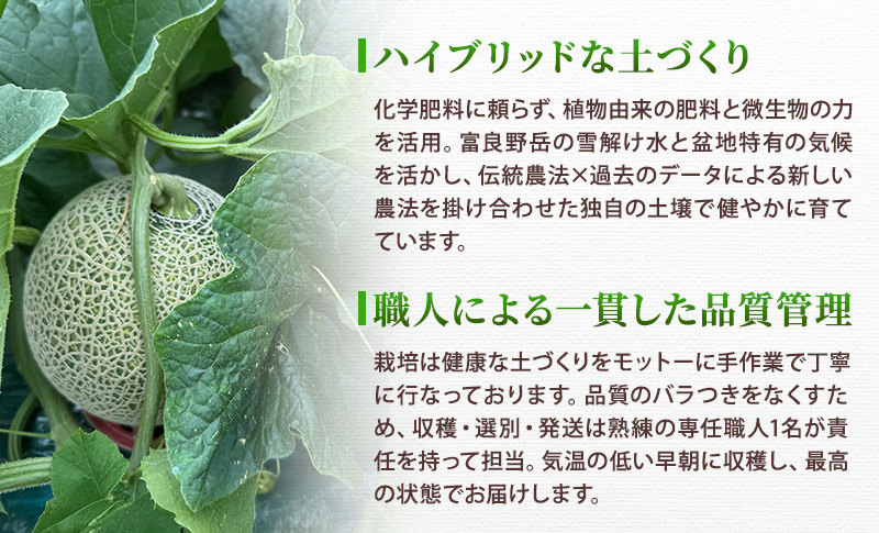 ＜2026年発送＞富良野メロン (赤肉) 品種おまかせ 約1.3kg～/2玉 [ メロン フルーツ 果物 北海道 富良野 ]