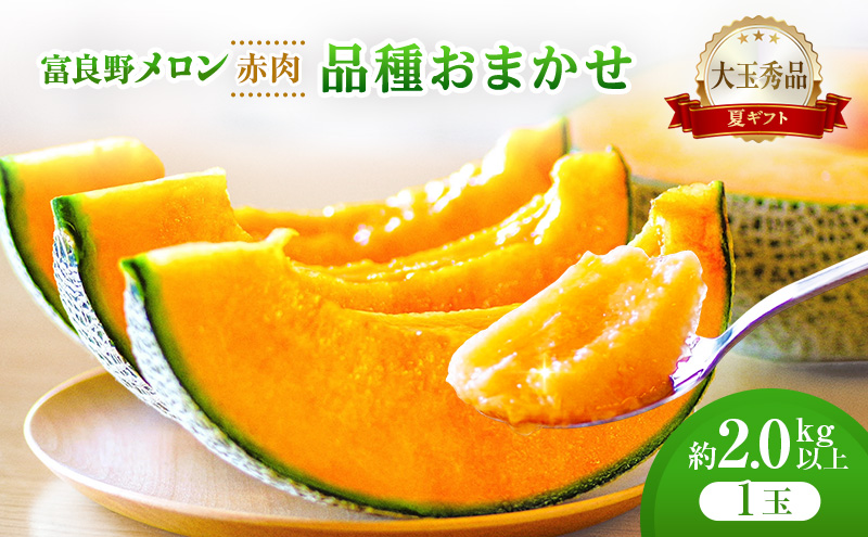 ＜2026年発送＞富良野メロン (赤肉) 夏ギフト 品種おまかせ 大玉秀品 2.0kg以上 1玉 [ メロン フルーツ 果物 北海道 富良野 ]