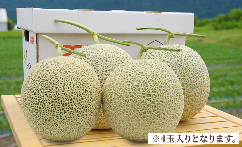 ＜2026年発送＞富良野メロン (赤肉) 夏ギフト 品種おまかせ 秀品 4玉入 1.8kg以上 [ メロン フルーツ 果物 北海道 富良野 ]