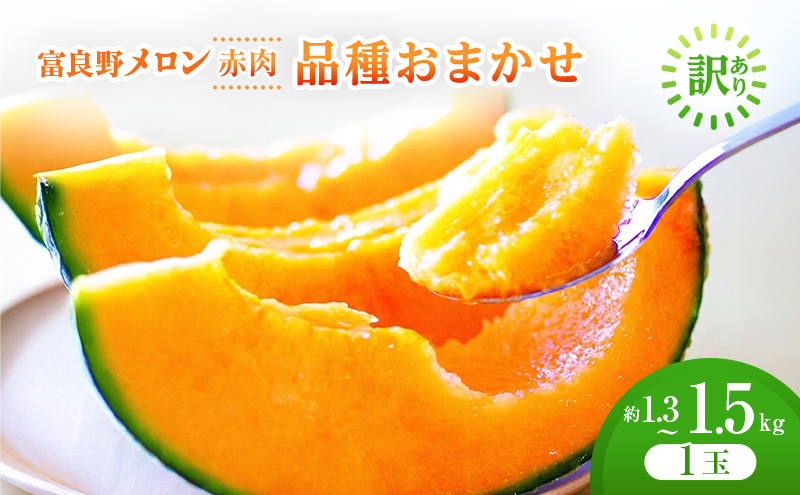 ＜2026年発送＞富良野メロン 約1.3kg～1.5kg 1玉 [ メロン フルーツ 果物 北海道 富良野 ]