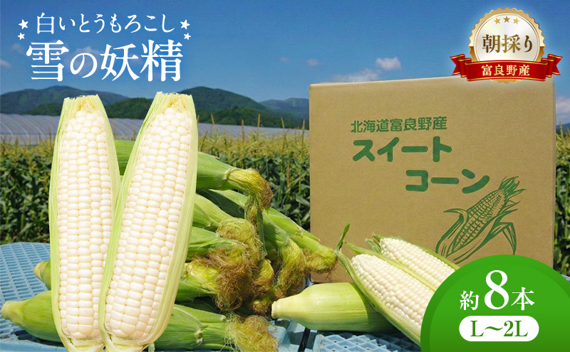 朝採り 白いとうもろこし 「雪の妖精」 北海道富良野産 L～2L 約8本 [ とうもろこし とうきび コーン ホワイトコーン 野菜 北海道 富良野 ]