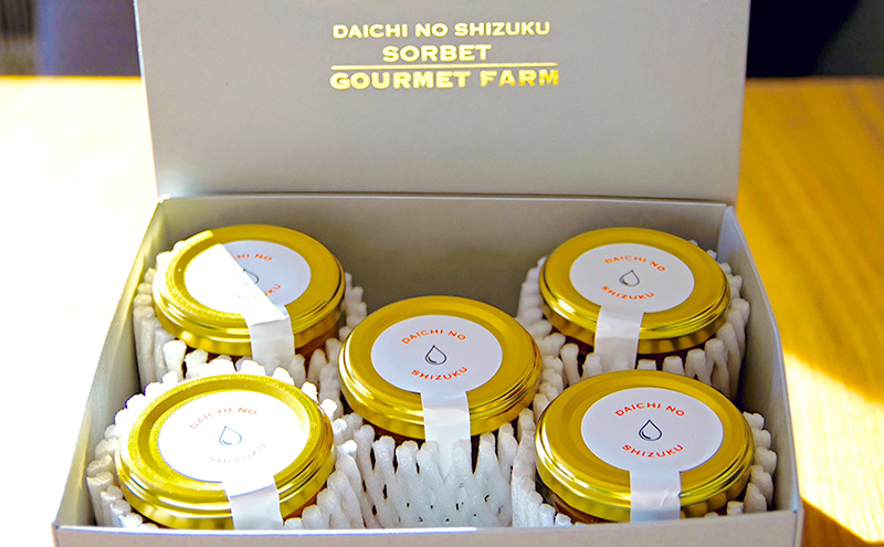 ふらのメロンソルベ 大地の雫 [DAICHI NO SHIZUKU] (赤肉メロン) [ スイーツ メロン ソルベ シャーベット アイス 北海道 富良野市 ]