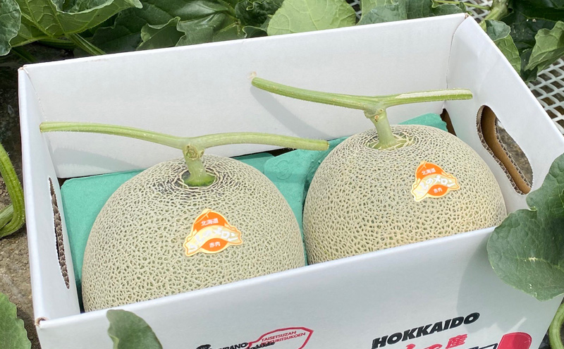 【2026年9月下旬～発送】ふらの 赤肉 秋メロン 2玉 計3.2kg以上 [高見農園] メロン フルーツ 果物 新鮮 甘い 贈り物 ギフト 秋 北海道 富良野市