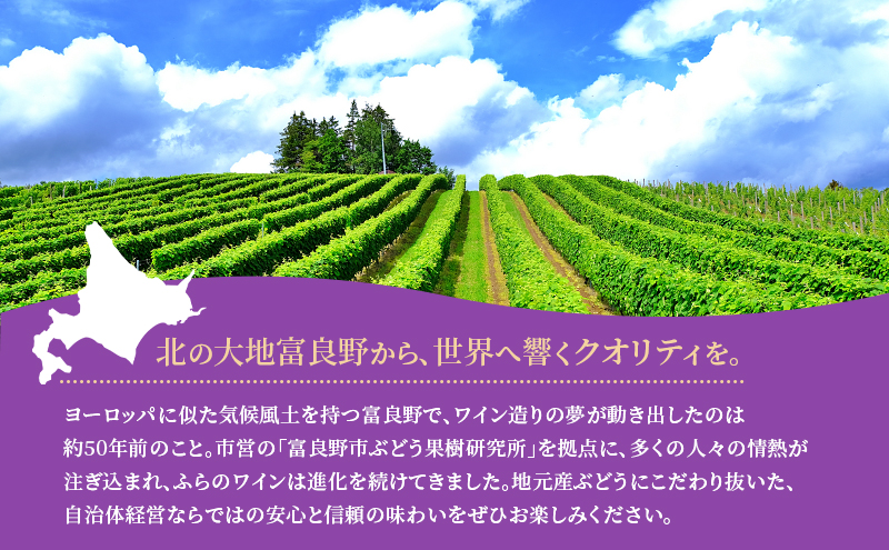 ふらのワイン3種セット～北の国から45周年記念 第1弾～ お酒 酒 ワイン 白 赤 ロゼ ぶどう 飲み物 アルコール 北海道 道産 富良野市