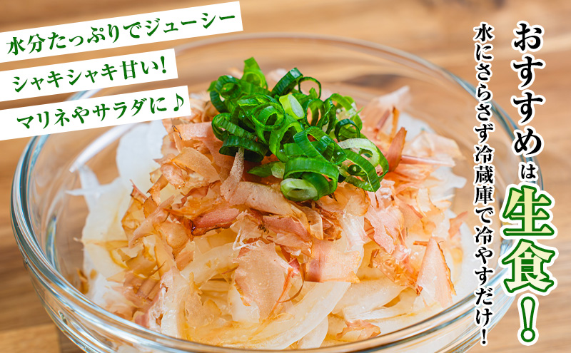 【2026年夏発送】富良野産 白玉ねぎ 雪景色 5kg （約15～25玉）新玉ねぎ 野菜 甘い 新鮮 直送 玉ねぎ 玉葱 サラダ 北海道 富良野 幕田農園