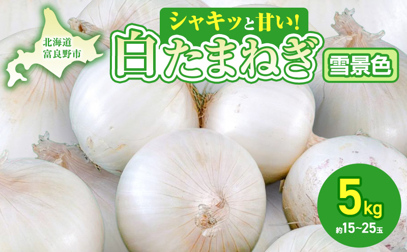 【2026年夏発送】富良野産 白玉ねぎ 雪景色 5kg （約15～25玉）新玉ねぎ 野菜 甘い 新鮮 直送 玉ねぎ 玉葱 サラダ 北海道 富良野 幕田農園