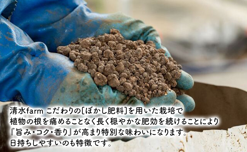 【2027年4月～発送】富良野産 採れたて直送! グリーンアスパラ 「雫」L～Mサイズ【約2kg】 (清水farm) アスパラ アスパラガス 野菜 新鮮 季節限定 北海道 富良野 ふらの