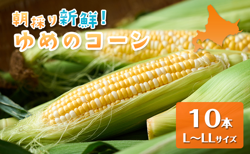 【2026年夏出荷】富良野産 とうもろこし ゆめのコーン 10本 (約5kg) L～LLサイズ 野菜 新鮮 直送 コーン とうきび 道産 北海道 幕田農園