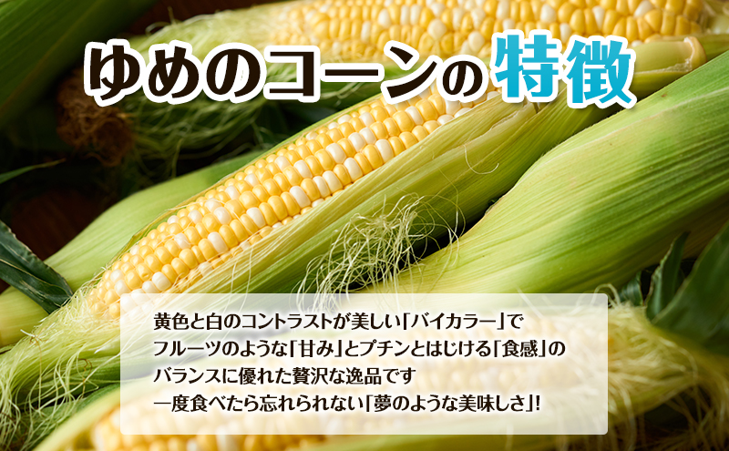 【2026年夏出荷】富良野産 とうもろこし ゆめのコーン 10本 (約5kg) L～LLサイズ 野菜 新鮮 直送 コーン とうきび 道産 北海道 幕田農園